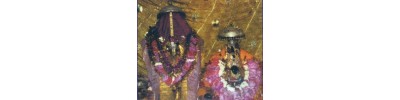 ஜோஷிமட்